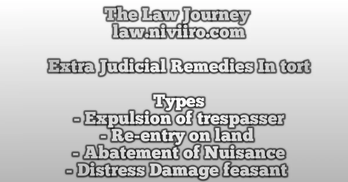 extra-judicial-remedies-in-tort